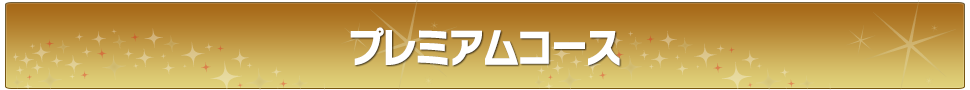 スタンダードコース／プロによる安心点検整備！わかりやすい見積と価格