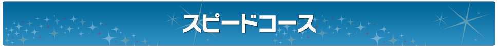 スピードコース「早くて安い！忙しい方にピッタリ！後整備OK!