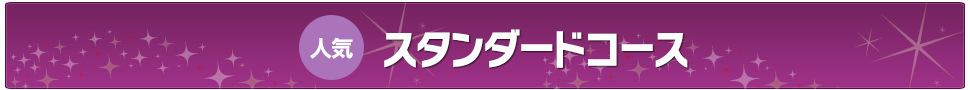 スタンダードコース／プロによる安心点検整備！わかりやすい見積と価格